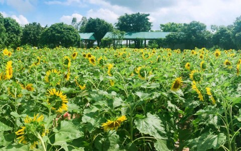 Khuyến mãi tháng 10
