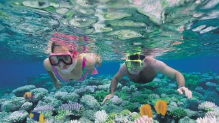 7 điểm ngắm san hô nổi tiếng ở Australia