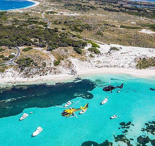 Đảo Rottnest, địa điểm lặn sở hữu làn nước trong xanh cùng các rạn đá vôi với hơn 4.000 loài cá khác nhau cùng với các loài chim di cư thường đổ về đảo kiếm ăn trong suốt cả năm. Ảnh: Destination Perth.